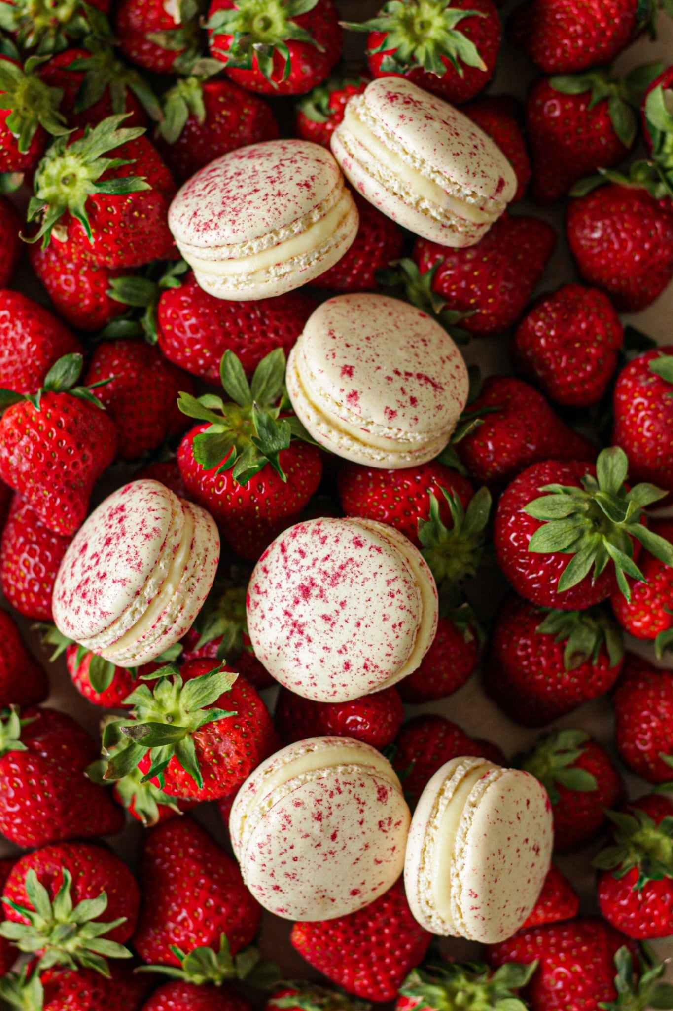 Macarons